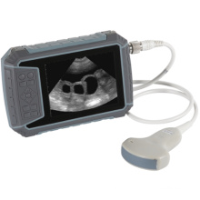 Veterinary Waterproof and Dustproof Full Digital Ultrasound Scanner